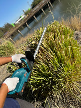 Cortasetos Inalámbrico 21v cargador y 2 Baterías