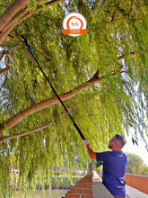 Podador de Altura Inalambrico